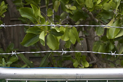 temp fence barbed wire